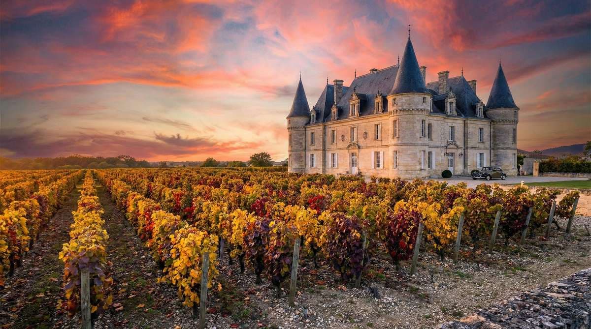 Bordeaux & Wine Regions